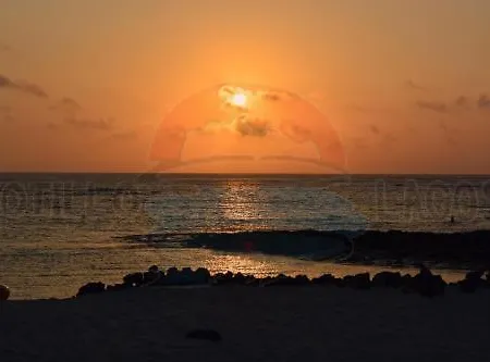 ホテル Lagos Cotillo